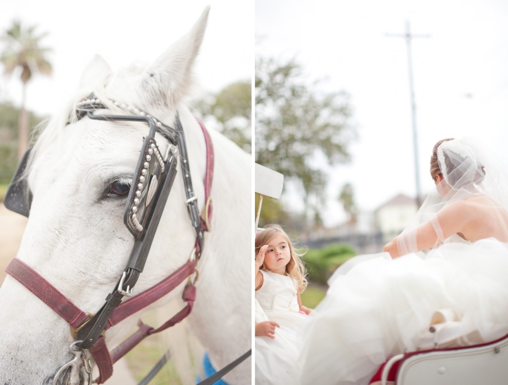 horse drawn carriage horse drawn carriage